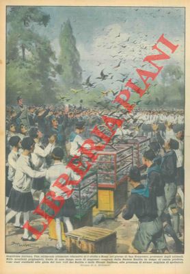 BELTRAME A. - - Nel giorno di San Francesco, protettore degli animali, mille uccelletti prigionieri, frutto dei sequestri della Societ Zoofila, sono stati restituiti alla gioia dei loro voli dai Balilla e dalle Piccole Italiane.