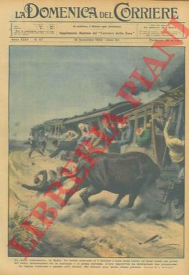 BELTRAME A. - - Un bufalo inferocito si scaglia contro un treno facendo ribaltare un vagone.