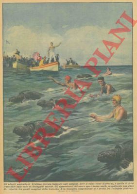 BELTRAME A. - - L'ultima trovata balneare agli antipodi, dove il caldo viene d'inverno,  quella di farsi trascinare sulle onde da testuggini marine.