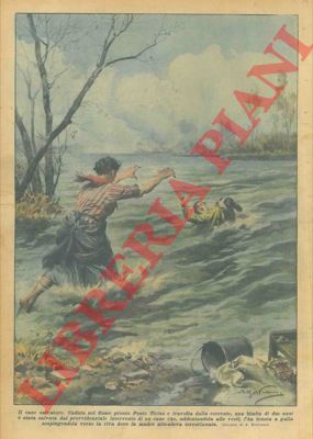 BELTRAME A. - - Bambina caduta nel fiume, presso Ponte Ticino (PV) viene salvata da un cane .