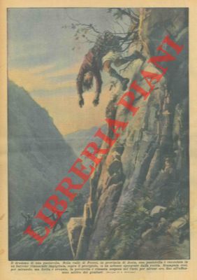 BELTRAME A. - - Nella valle di Ferret (AO) una pastorella  ruzzolata in un burrone rimanendo impigliata, sopra il precipizio, ad un arbusto sporgente dalla roccia.
