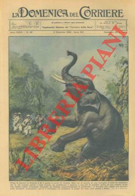 BELTRAME A. - - Il Re, in Somalia,  durante la caccia all'elefante.