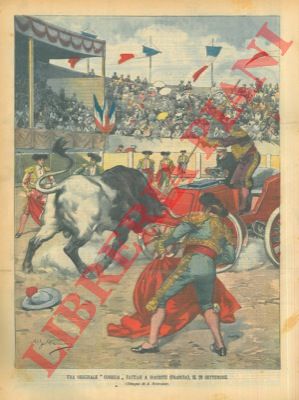 BELTRAME A. - - Originale corrida (auto contro toro) fattasi a Biarritz in Francia.