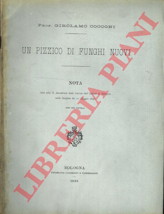 COCCONI Girolamo - - Un pizzico di funghi nuovi.