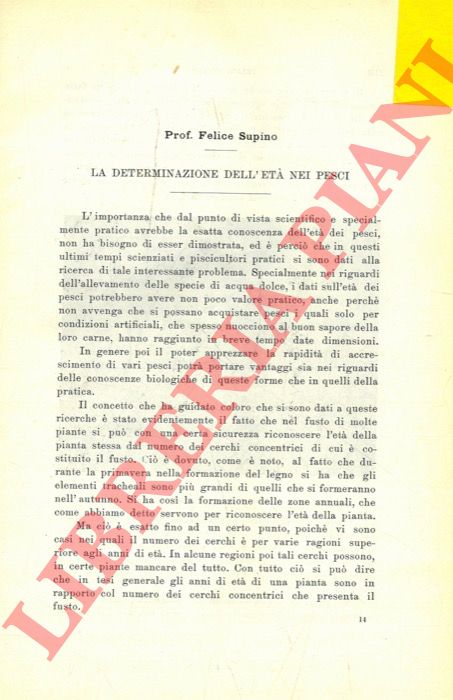 SUPINO Felice - - La determinazione dell'et nei pesci.