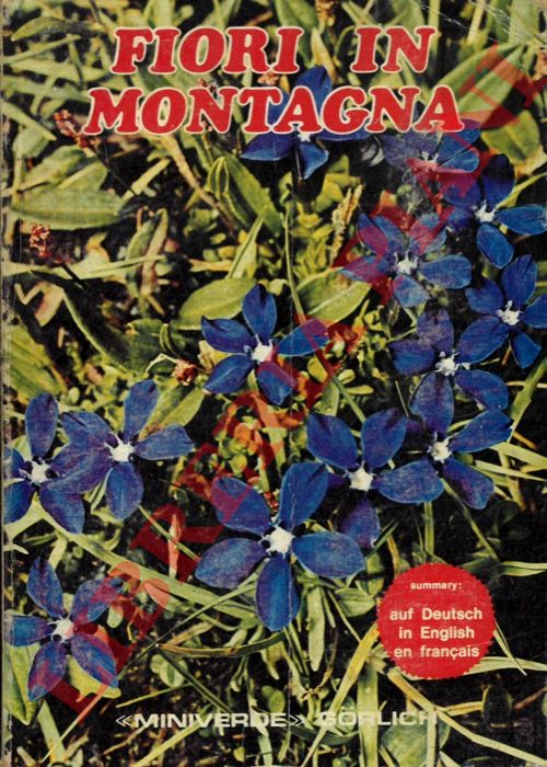 PELUZZI Giulio) - - Fiori in montagna.