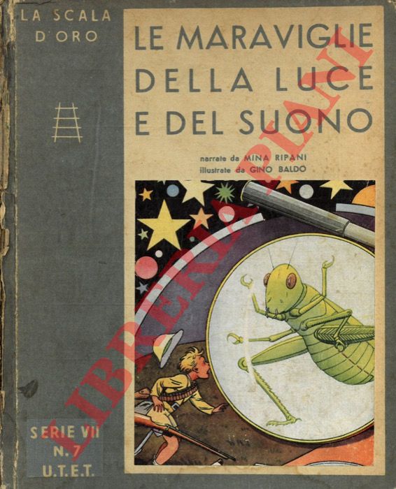 RIPANI Mina - - Le maraviglie della luce e del suono.