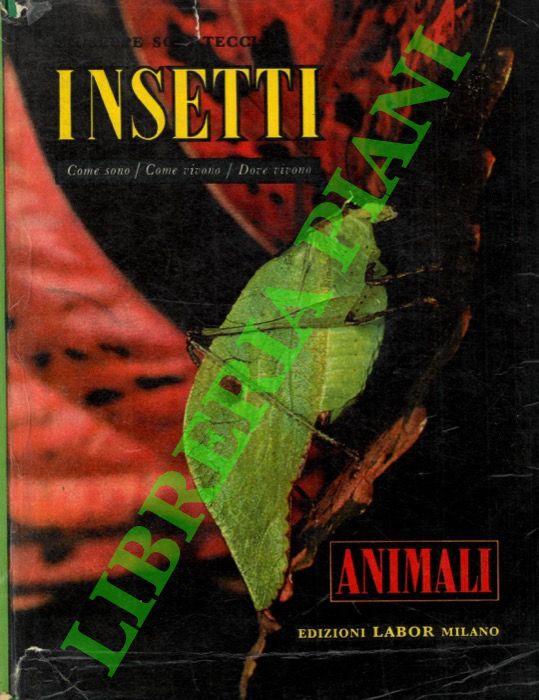 SCORTECCI Giuseppe - - Insetti. Come sono. Dove vivono. Come vivono. Il solo volume I.