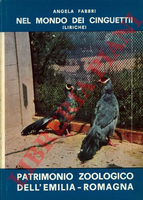 FABBRI ANGELA - - Nel mondo dei cinguettii - Patrimonio zoologico dell Emilia Romagna.