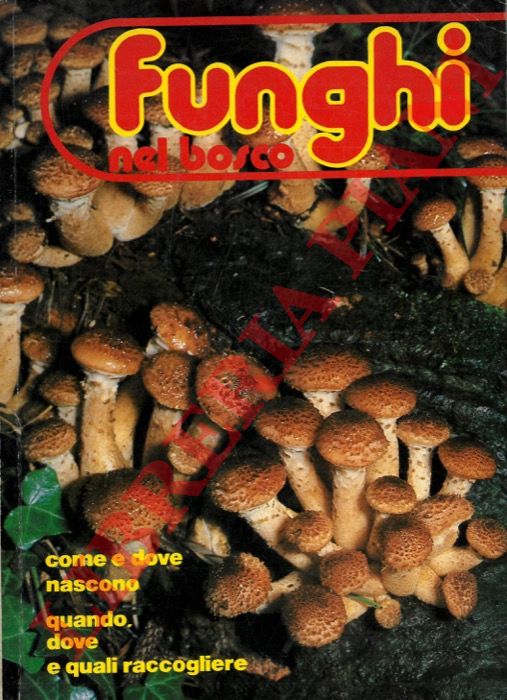 (BONOMO Giuliana) - - Funghi nel bosco. Come e dove nascono Quando, dove e quali raccogliere.