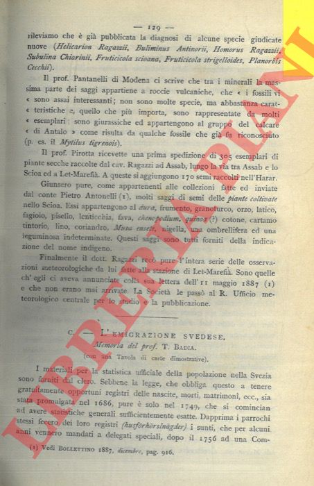 BADIA T. - - L'emigrazione svedese.