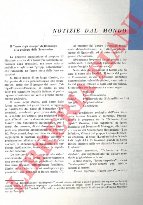 GULFI Carlo - - Il 'sasso degli stampi' di Bonzanigo e la geologia della Tremezzina.