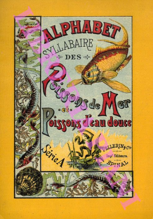 - - Alphabet syllabaire des poissons de mer et poissons d'eau douce. Serie A.