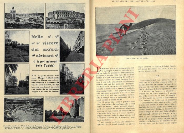 MENGHI Vincenzo - - Nelle viscere dei monti africani (I tesori minerari della Tunisia).