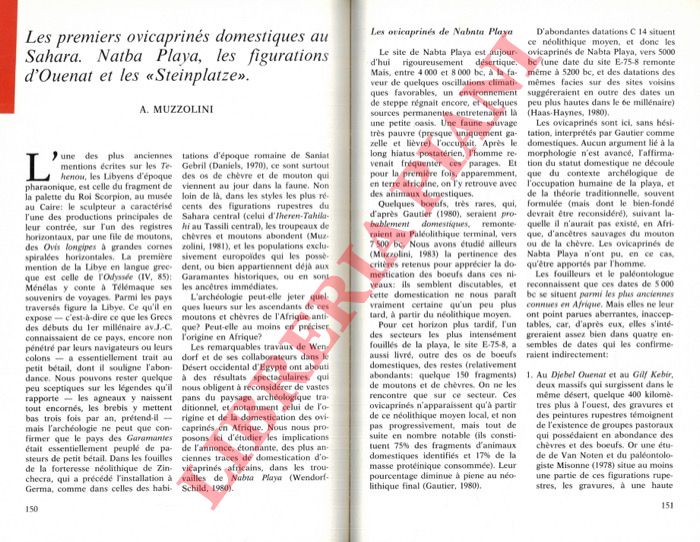 MUZZOLINI A. - - Les premiers ovicaprins domestiques au Sahara, Natba Playa, les figurations d'Ouenat et les 'Steinplatze' .