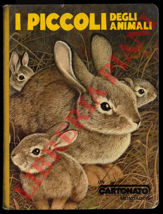 - - I piccoli degli animali.