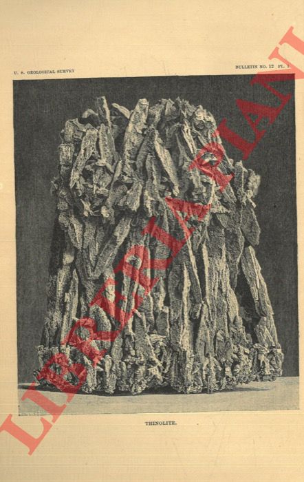 DANA Edward S. - - A Crystallographic Study of the Thinolite of Lake Lahontan.