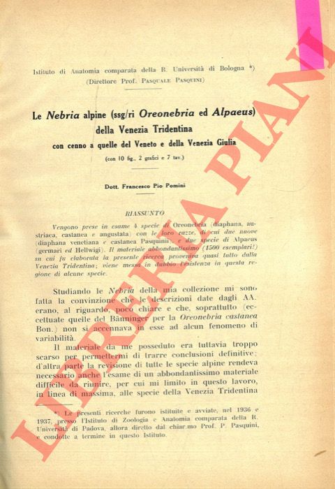 POMINI Francesco Pio - - Le Nebria alpine (Ssg/ri Oreonebria ed Alpaeus) della Venezia Tridentina  con cenno a quelle del Veneto e della Venezia Giulia.