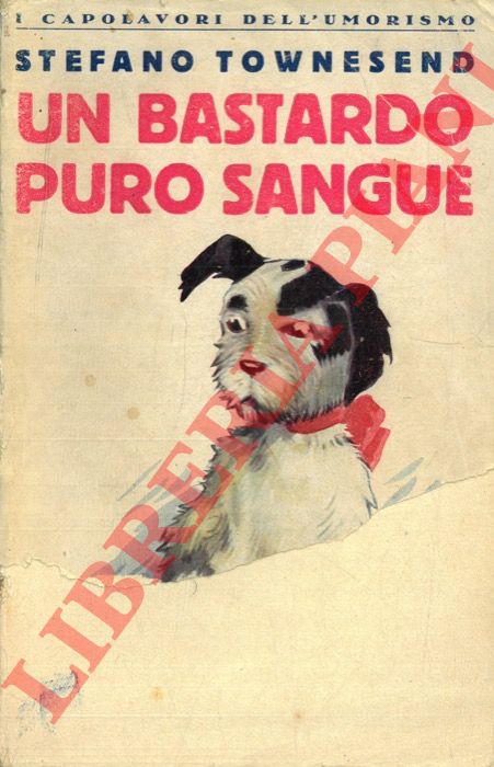TOWNESEND Stefano - - Un bastardo puro sangue (AThouroughbred Mongrel) .