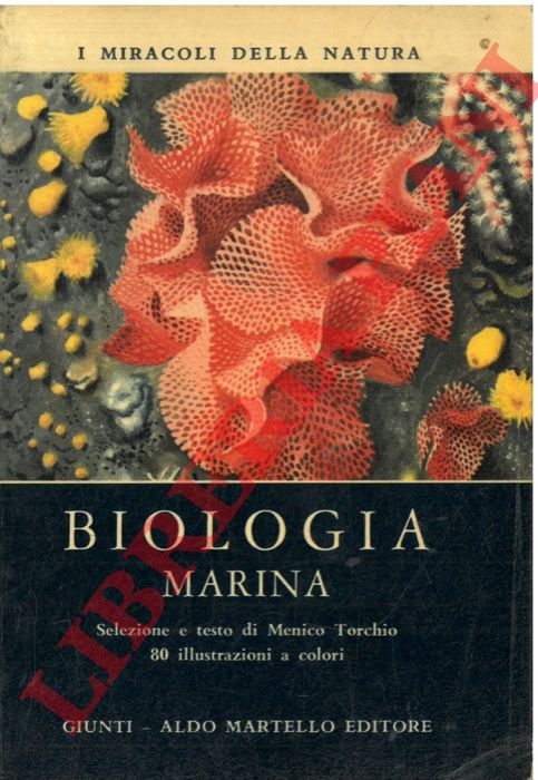 TORCHIO Menico - - Biologia marina.