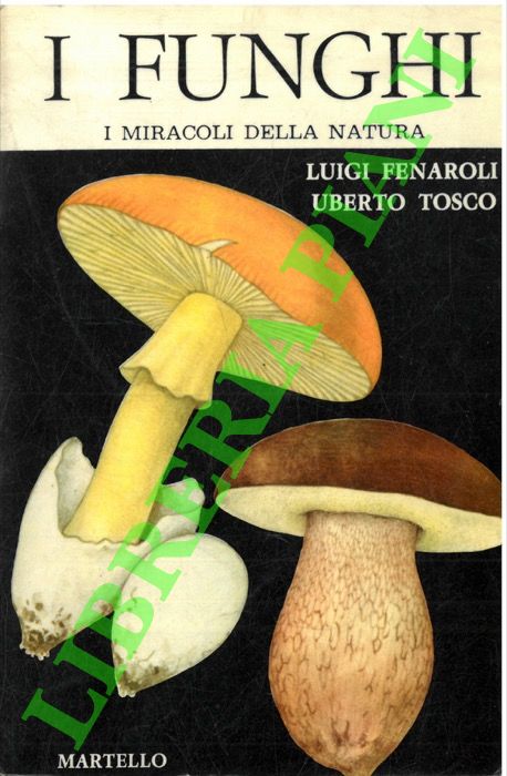 FENAROLI Luigi - TOSCO Uberto - - I funghi.