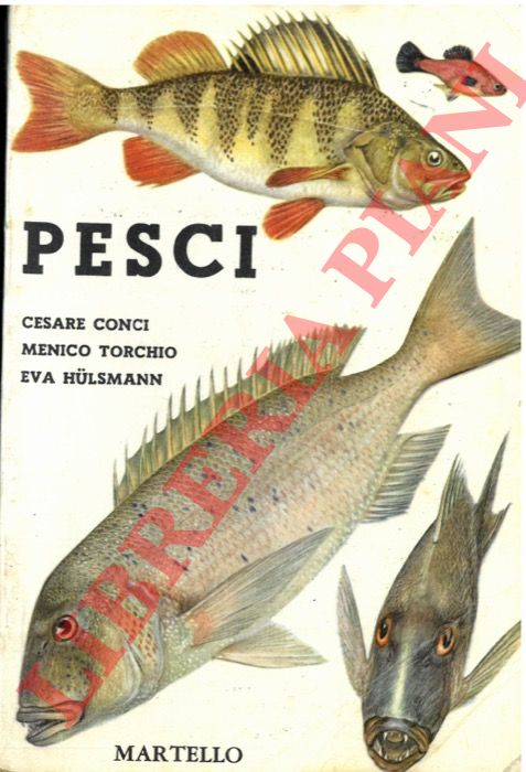 CONCI Cesare - TORCHIO Menico - HULSMANN Eva - - Pesci.