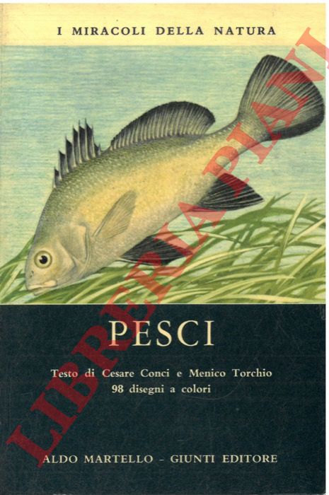 CONCI Cesare - TORCHIO Menico - HULSMANN Eva - - Pesci.