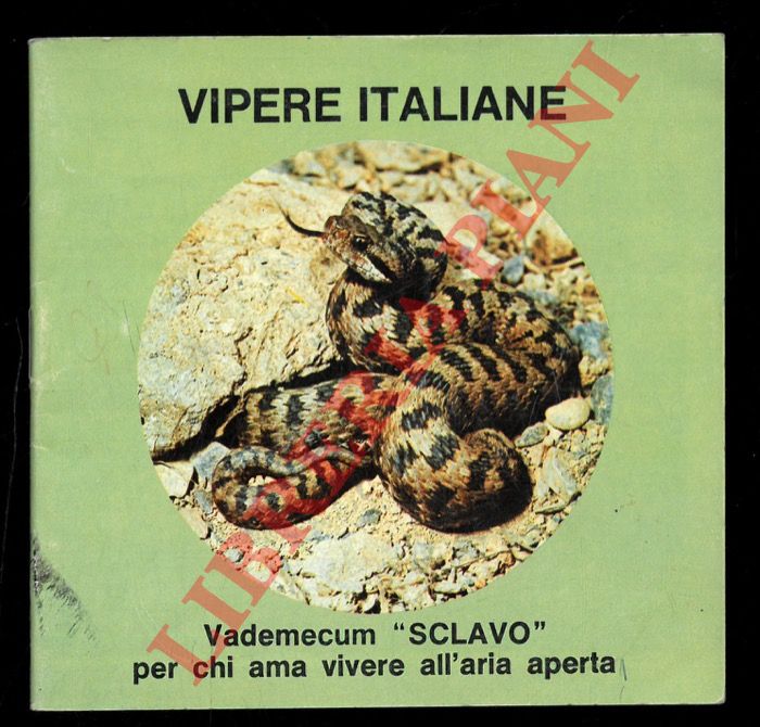- - Vipere italiane. Vademecum 