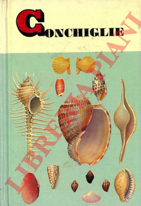ABBOTT Tucker R. - - Conchiglie.
