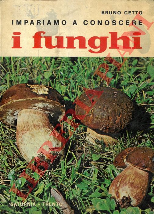CETTO Bruno - - Impariamo a conoscere i funghi.