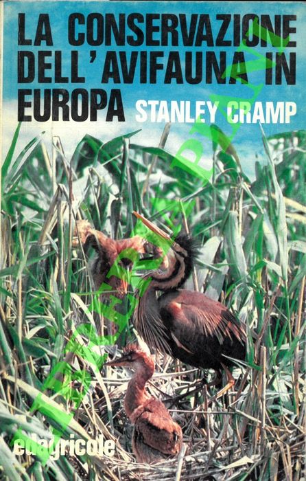 CRAMP Stanley - - La conservazione dell'avifauna in Europa.