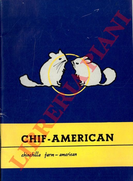 (Chif-American) - - Chif-american chinchilla farm-american.