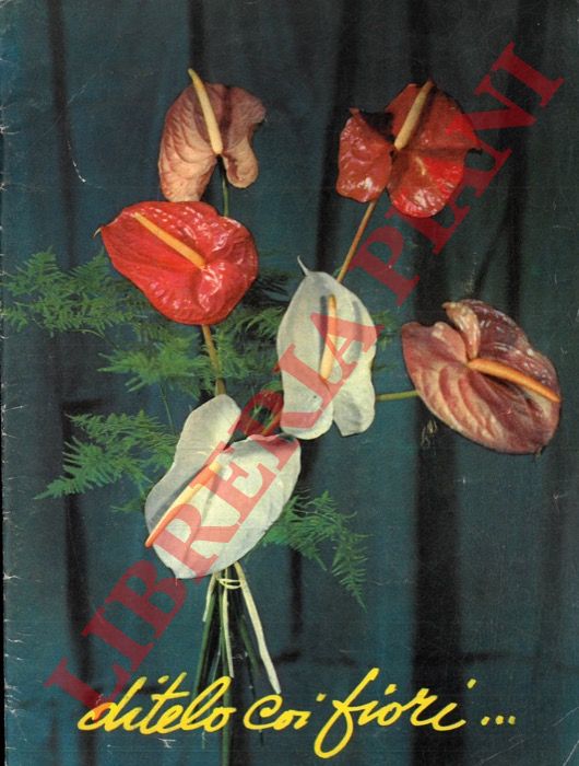 - - Ditelo coi fiori.