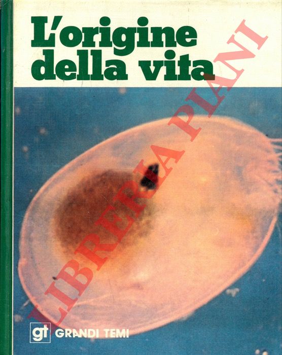 ARNAU Catalina - CARBO' Ramon - - L'origine della vita.