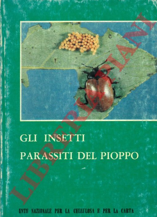 - - Gli insetti parassiti del pioppo.