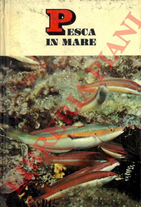 BURNAND Tony - - Pesca in mare.