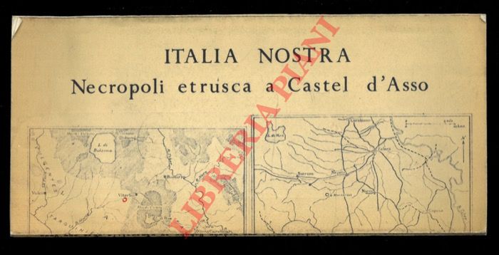 Italia nostra - - Necropoli etrusca a Castel d'Asso.