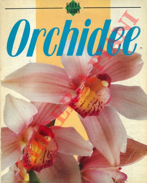(TRUCCHI Remo) - - Orchidee.
