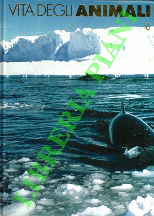 SIELMANN Heinz - - Vita degli animali. Volume Sedicesimo.