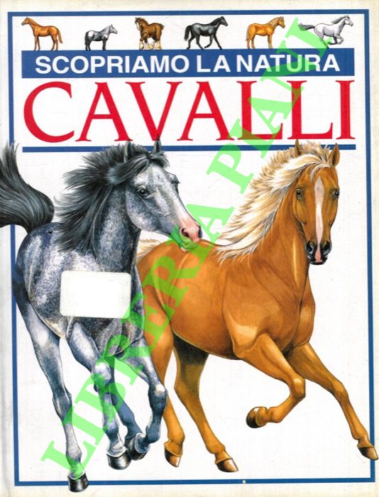 SMITH Lucy - - Scopriamo la Natura Cavalli.