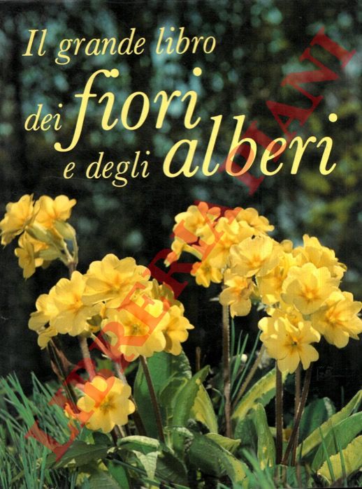 BARNABE' BOSISIO Gina - - Il grande libro dei fiori e degli alberi.
