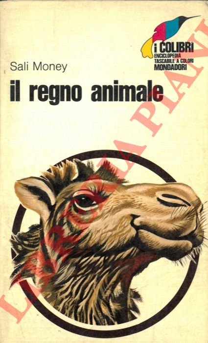 MONEY Sali - - Il regno animale.
