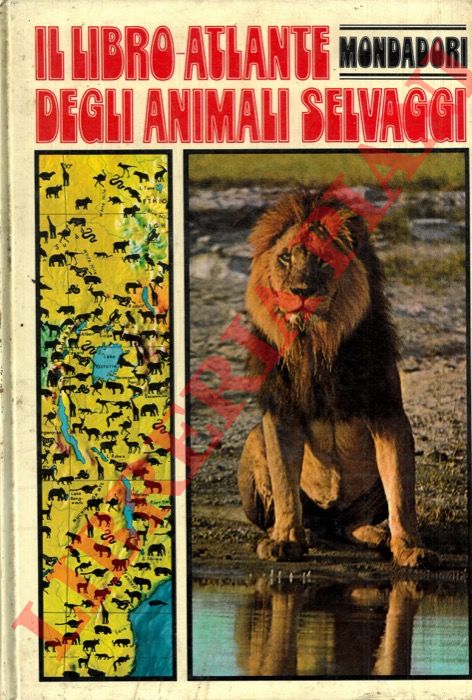 NAYMAN Jacqueline - - Il libro-atlante degli animali selvaggi.