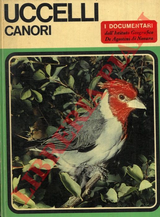 (GRASSELLI Armando) - - Uccelli canori