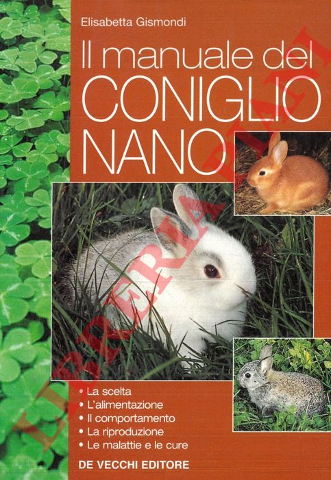 GISMONDI Elisabetta - - Il manuale del coniglio nano.