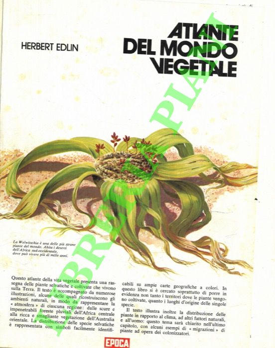 JARMAN Cathy - VALENTINI Giovanni - - Cathy Jarman. Atlante delle migrazioni animali. Giovanni Valentini. Atlante economico politico mondale 1978-79.