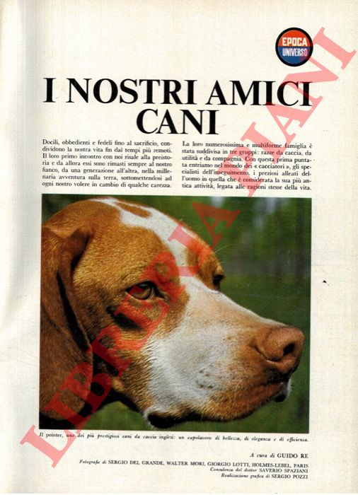 (RE Guido - FRUGIS Sergio - BERTARELLI Franco - AGASSO Domenico - DE BIASI Mario) - - Epoca-Universo. I nostri amici cani. Fascicoli 1-3 Gli uccelli. Prima e seconda parte. Il mare. I passi di Ges. Questo  il vero presepe. La Bibbia.