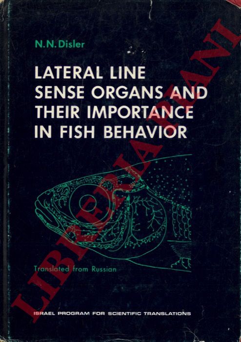 DISLER N.N. - - Lateral Line Sense Organs and their Importance in Fish Behavior (Organy chuvstv sistemy bokovoi linii i ikh znachenie v povedenii ryb) .