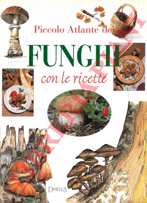 (FRANCONERI Silvana) - - Piccolo atlante dei funghi con le ricette.