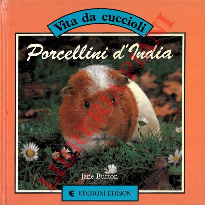 PERICOLI Tullio - - Fogli di via.